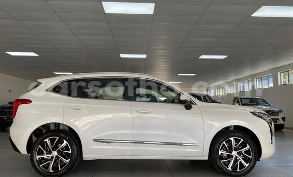 Sayi Na hannu Haval H8 White Mota in Maseru a Maseru Sayi Na hannu Haval H8 White Mota in Maseru a Maseru