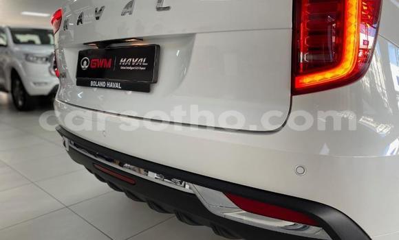 Sayi Na hannu Haval H8 White Mota in Maseru a Maseru Sayi Na hannu Haval H8 White Mota in Maseru a Maseru