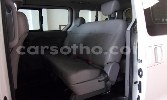 اشتري مستعمل Hyundai H1 Other سيارة في Maseru في Maseru اشتري مستعمل Hyundai H1 Other سيارة في Maseru في Maseru