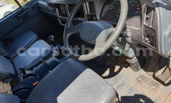 اشتري مستعمل Nissan UD Other شاحنة في Maseru في Maseru اشتري مستعمل Nissan UD Other شاحنة في Maseru في Maseru