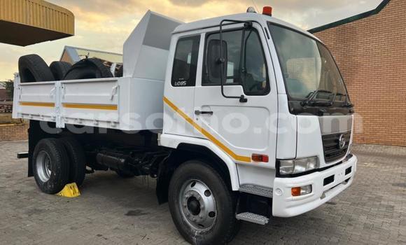اشتري مستعمل Nissan UD White شاحنة في Maseru في Maseru