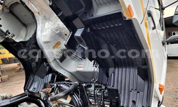 اشتري مستعمل Nissan UD White شاحنة في Maseru في Maseru اشتري مستعمل Nissan UD White شاحنة في Maseru في Maseru