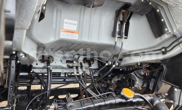 اشتري مستعمل Nissan UD White شاحنة في Maseru في Maseru اشتري مستعمل Nissan UD White شاحنة في Maseru في Maseru