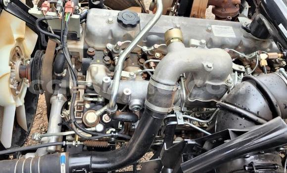 اشتري مستعمل Nissan UD White شاحنة في Maseru في Maseru اشتري مستعمل Nissan UD White شاحنة في Maseru في Maseru