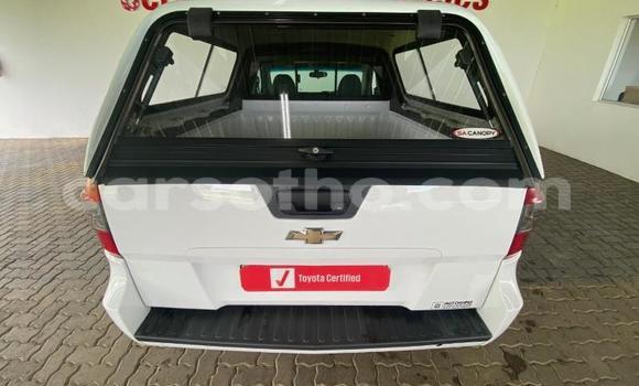 اشتري مستعمل Chevrolet Corsa White سيارة في Maseru في Maseru اشتري مستعمل Chevrolet Corsa White سيارة في Maseru في Maseru