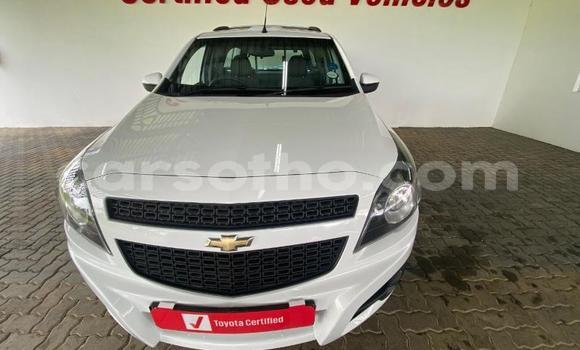 اشتري مستعمل Chevrolet Corsa White سيارة في Maseru في Maseru اشتري مستعمل Chevrolet Corsa White سيارة في Maseru في Maseru