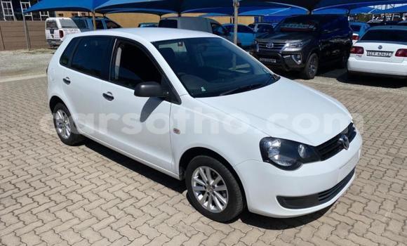 Buy Used Volkswagen Polo White Car in Maseru in Maseru Buy Used Volkswagen Polo White Car in Maseru in Maseru