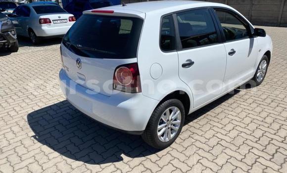 Buy Used Volkswagen Polo White Car in Maseru in Maseru Buy Used Volkswagen Polo White Car in Maseru in Maseru