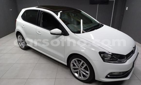 اشتري مستعمل Volkswagen Polo White سيارة في Maseru في Maseru