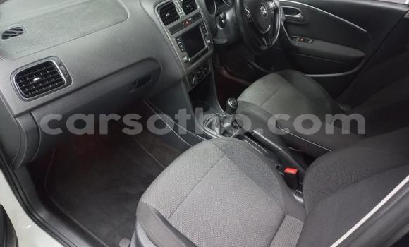 Buy Used Volkswagen Polo White Car in Maseru in Maseru Buy Used Volkswagen Polo White Car in Maseru in Maseru