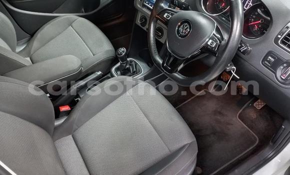 Buy Used Volkswagen Polo White Car in Maseru in Maseru Buy Used Volkswagen Polo White Car in Maseru in Maseru