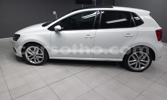 Buy Used Volkswagen Polo White Car in Maseru in Maseru Buy Used Volkswagen Polo White Car in Maseru in Maseru