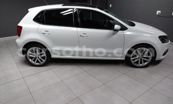 Buy Used Volkswagen Polo White Car in Maseru in Maseru Buy Used Volkswagen Polo White Car in Maseru in Maseru
