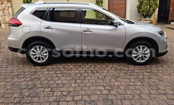 Acheter Occasion Voiture Nissan X–Trail Gris à Maseru, Maseru Acheter Occasion Voiture Nissan X–Trail Gris à Maseru, Maseru