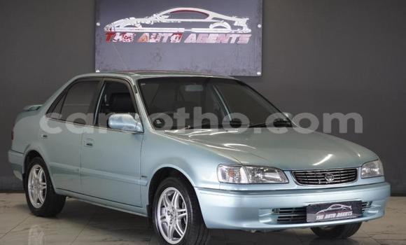 Buy Used Toyota Corolla Green Car in Maseru in Maseru