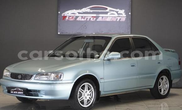 Buy Used Toyota Corolla Green Car in Maseru in Maseru Buy Used Toyota Corolla Green Car in Maseru in Maseru