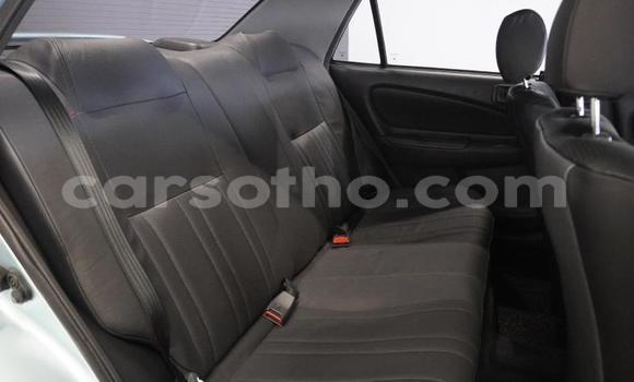 Buy Used Toyota Corolla Green Car in Maseru in Maseru Buy Used Toyota Corolla Green Car in Maseru in Maseru