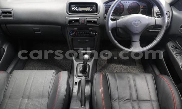 Buy Used Toyota Corolla Green Car in Maseru in Maseru Buy Used Toyota Corolla Green Car in Maseru in Maseru