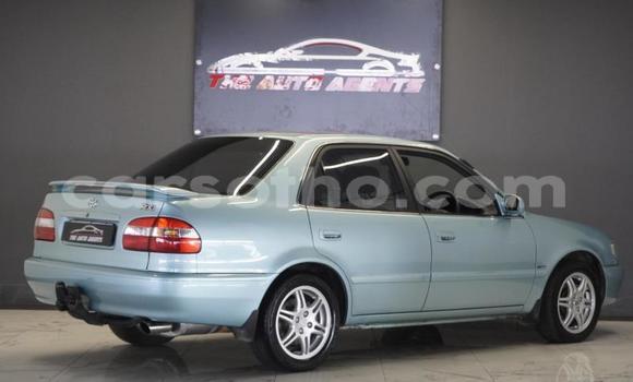 Buy Used Toyota Corolla Green Car in Maseru in Maseru Buy Used Toyota Corolla Green Car in Maseru in Maseru