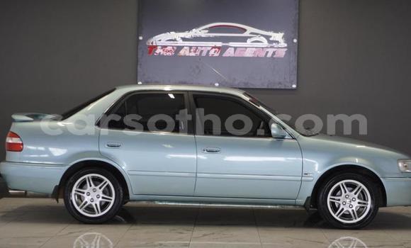 Buy Used Toyota Corolla Green Car in Maseru in Maseru Buy Used Toyota Corolla Green Car in Maseru in Maseru