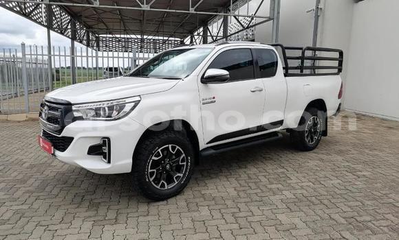 Buy Used Toyota Hilux White Car in Maseru in Maseru