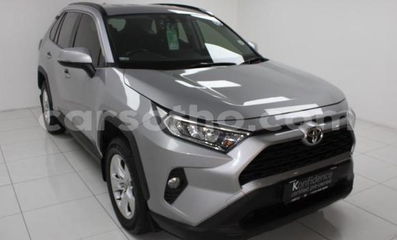 Acheter Occasion Voiture Toyota RAV4 Gris à Maseru, Maseru