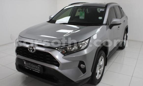اشتري مستعمل Toyota RAV4 Silver سيارة في Maseru في Maseru اشتري مستعمل Toyota RAV4 Silver سيارة في Maseru في Maseru