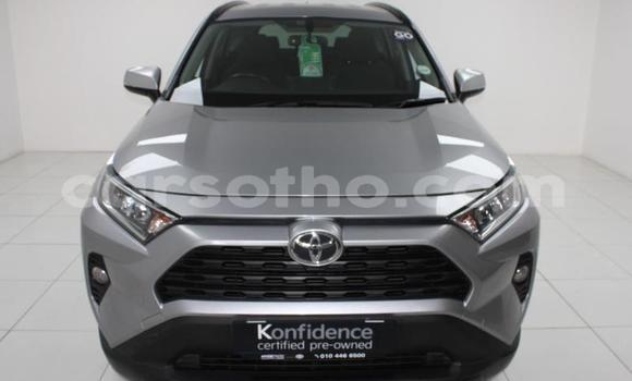 اشتري مستعمل Toyota RAV4 Silver سيارة في Maseru في Maseru اشتري مستعمل Toyota RAV4 Silver سيارة في Maseru في Maseru