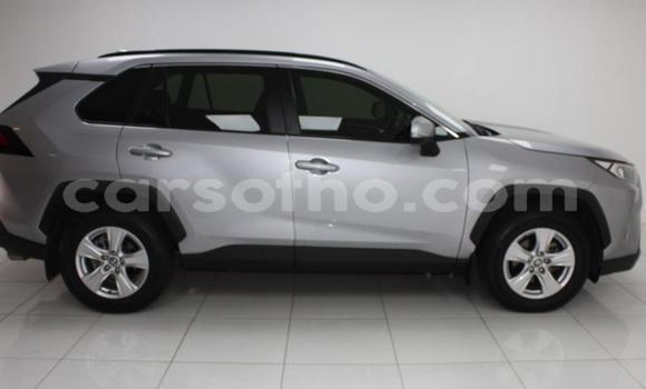 اشتري مستعمل Toyota RAV4 Silver سيارة في Maseru في Maseru اشتري مستعمل Toyota RAV4 Silver سيارة في Maseru في Maseru