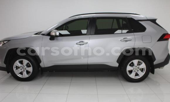 اشتري مستعمل Toyota RAV4 Silver سيارة في Maseru في Maseru اشتري مستعمل Toyota RAV4 Silver سيارة في Maseru في Maseru