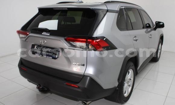 اشتري مستعمل Toyota RAV4 Silver سيارة في Maseru في Maseru اشتري مستعمل Toyota RAV4 Silver سيارة في Maseru في Maseru