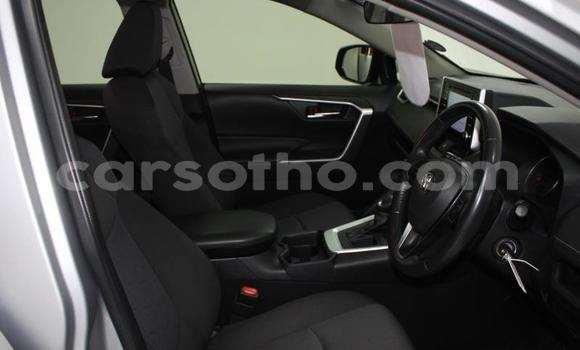 اشتري مستعمل Toyota RAV4 Silver سيارة في Maseru في Maseru اشتري مستعمل Toyota RAV4 Silver سيارة في Maseru في Maseru
