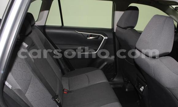 اشتري مستعمل Toyota RAV4 Silver سيارة في Maseru في Maseru اشتري مستعمل Toyota RAV4 Silver سيارة في Maseru في Maseru