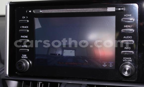 اشتري مستعمل Toyota RAV4 Silver سيارة في Maseru في Maseru اشتري مستعمل Toyota RAV4 Silver سيارة في Maseru في Maseru