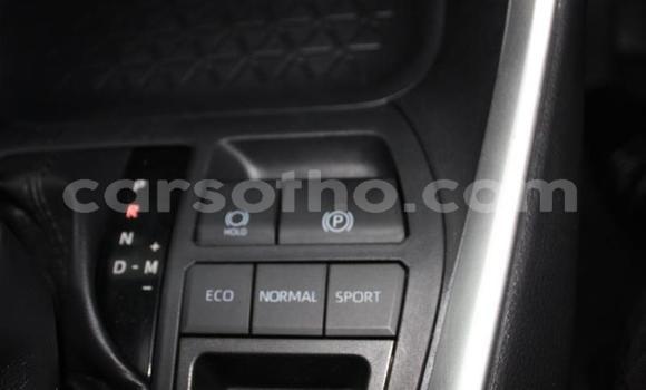 اشتري مستعمل Toyota RAV4 Silver سيارة في Maseru في Maseru اشتري مستعمل Toyota RAV4 Silver سيارة في Maseru في Maseru