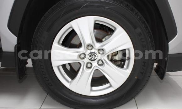 اشتري مستعمل Toyota RAV4 Silver سيارة في Maseru في Maseru اشتري مستعمل Toyota RAV4 Silver سيارة في Maseru في Maseru