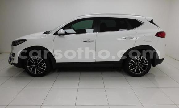 اشتري مستعمل Hyundai Tucson Other سيارة في Maseru في Maseru اشتري مستعمل Hyundai Tucson Other سيارة في Maseru في Maseru