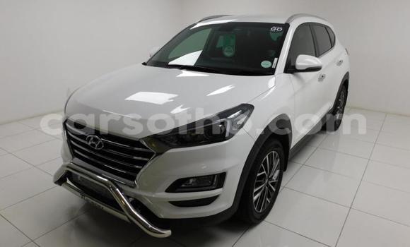 اشتري مستعمل Hyundai Tucson Other سيارة في Maseru في Maseru اشتري مستعمل Hyundai Tucson Other سيارة في Maseru في Maseru