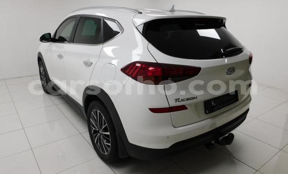 اشتري مستعمل Hyundai Tucson Other سيارة في Maseru في Maseru اشتري مستعمل Hyundai Tucson Other سيارة في Maseru في Maseru