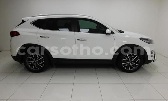 اشتري مستعمل Hyundai Tucson Other سيارة في Maseru في Maseru اشتري مستعمل Hyundai Tucson Other سيارة في Maseru في Maseru