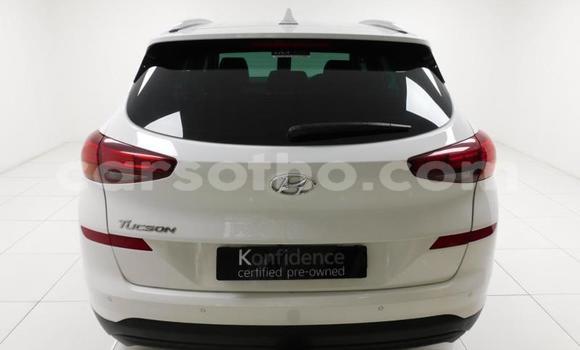 اشتري مستعمل Hyundai Tucson Other سيارة في Maseru في Maseru اشتري مستعمل Hyundai Tucson Other سيارة في Maseru في Maseru