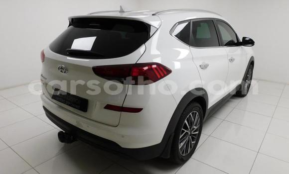 اشتري مستعمل Hyundai Tucson Other سيارة في Maseru في Maseru اشتري مستعمل Hyundai Tucson Other سيارة في Maseru في Maseru