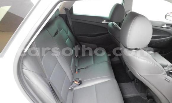 اشتري مستعمل Hyundai Tucson Other سيارة في Maseru في Maseru اشتري مستعمل Hyundai Tucson Other سيارة في Maseru في Maseru