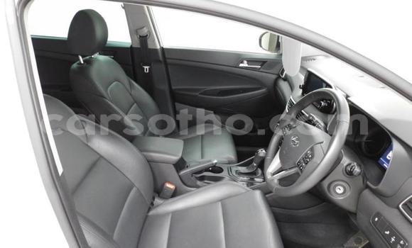 اشتري مستعمل Hyundai Tucson Other سيارة في Maseru في Maseru اشتري مستعمل Hyundai Tucson Other سيارة في Maseru في Maseru
