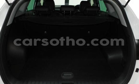 اشتري مستعمل Hyundai Tucson Other سيارة في Maseru في Maseru اشتري مستعمل Hyundai Tucson Other سيارة في Maseru في Maseru