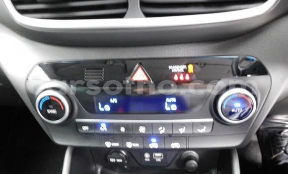 اشتري مستعمل Hyundai Tucson Other سيارة في Maseru في Maseru اشتري مستعمل Hyundai Tucson Other سيارة في Maseru في Maseru