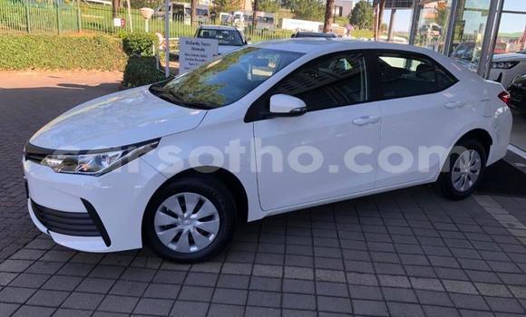 Buy Used Toyota Corolla White Car in Maseru in Maseru Buy Used Toyota Corolla White Car in Maseru in Maseru