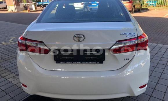 Buy Used Toyota Corolla White Car in Maseru in Maseru Buy Used Toyota Corolla White Car in Maseru in Maseru