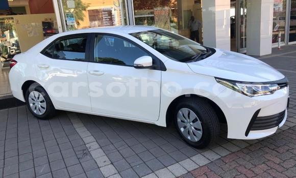 Buy Used Toyota Corolla White Car in Maseru in Maseru Buy Used Toyota Corolla White Car in Maseru in Maseru