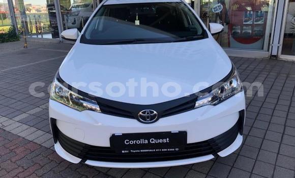 Buy Used Toyota Corolla White Car in Maseru in Maseru Buy Used Toyota Corolla White Car in Maseru in Maseru